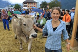 Altdorf13 104